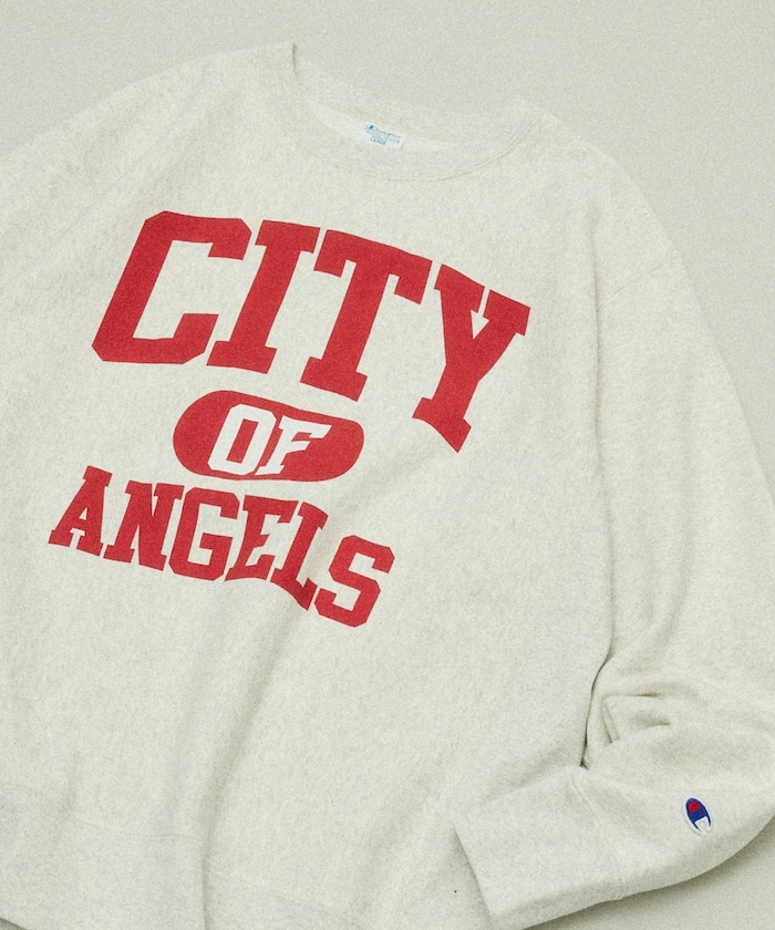 Champion × FREAK'S STORE 別注 REVERSE WEAVE VINTAGE WASH PRINT SWEAT