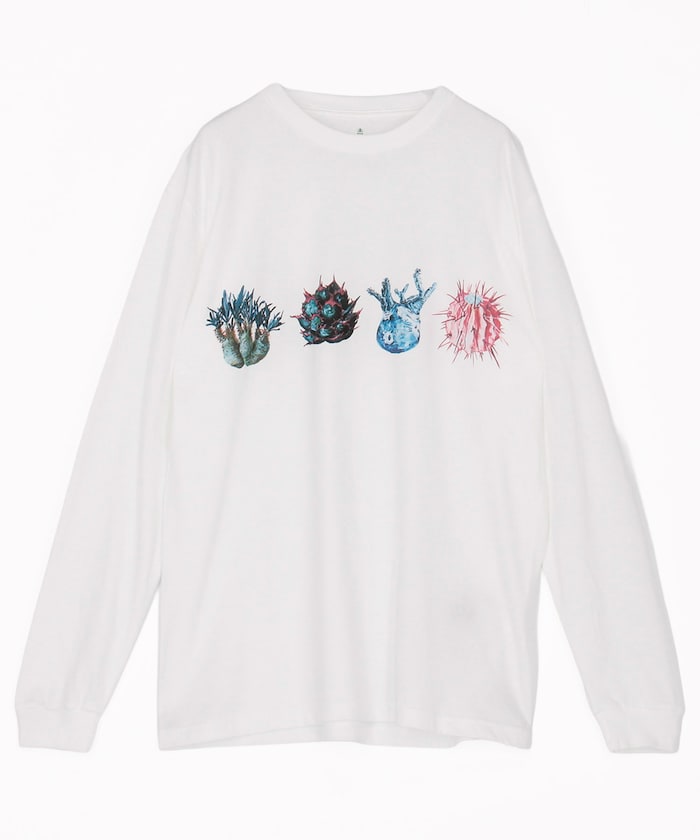 aobouzu × FREAK'S STORE 塊根ロンtee