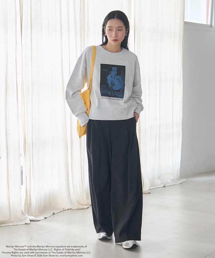 ライトグレー：ASH