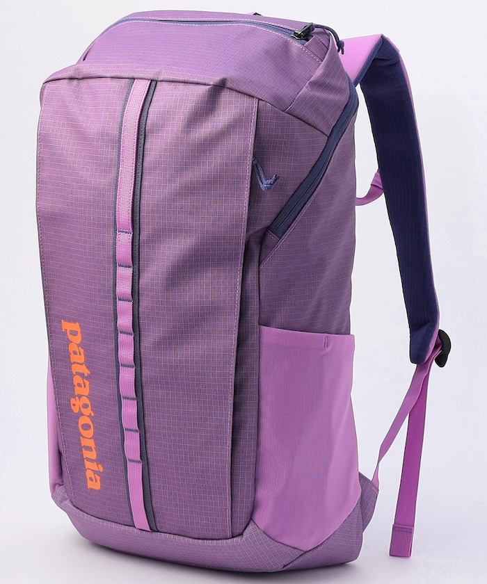 パープル：BKPL：Brisk Purple