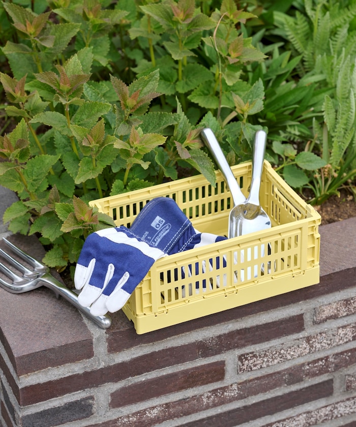 商品サムネイル