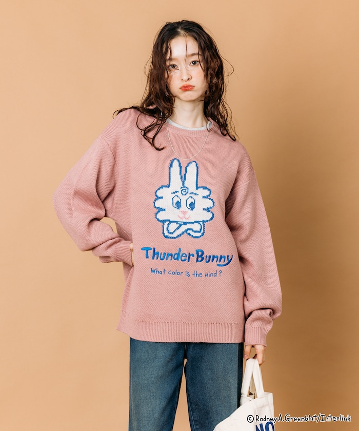 Thunder Bunny / サンダーバニー 別注 リラックスフィット ジャカード クルーネック ニット 【限定展開】