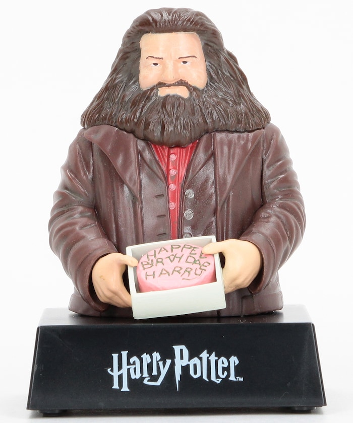 Toy & Book Birthday Cake トイ&ブック ”ハリーズ バースデーケーキ'