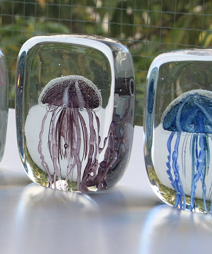 Jellyfish Twisted Leg Tall ジェリーフィッシュ ツイストレッグ トール