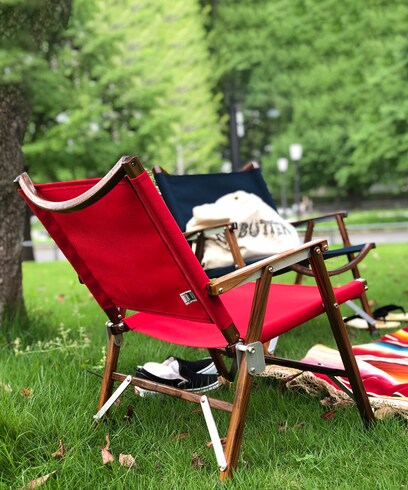 Kermit Chair｜Daytona Park(FREAK 