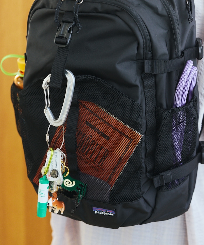 Patagonia/Refugio Day Pack 30L レフュジオ・デイパック 30L｜Daytona