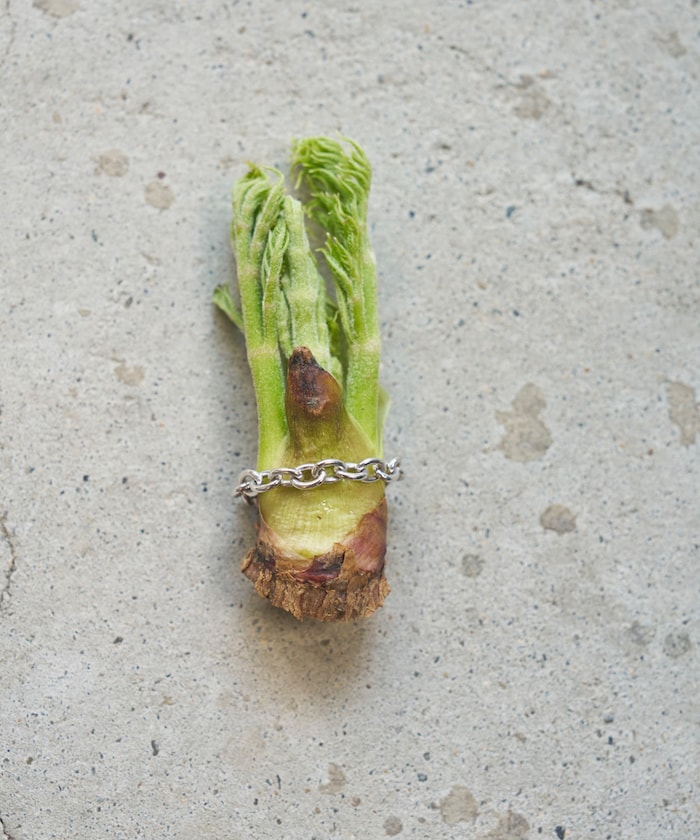 【4月1日12:00発売】SILVER925 チェーンリング / ユニセックス